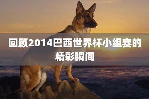 回顾2014巴西世界杯小组赛的精彩瞬间