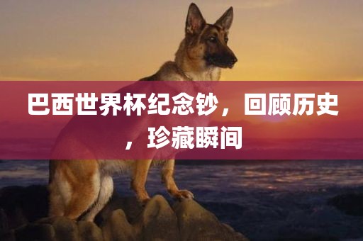 巴西世界杯纪念钞，回顾历史，珍藏瞬间金炬实业股份有限公司