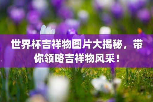 世界杯吉祥物图片大揭秘，带你领略吉祥物风采！