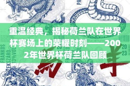 重温经典，揭秘荷兰队在世界杯赛场上的荣耀时刻——2002年世界杯荷兰队回顾金炬实业股份有限公司