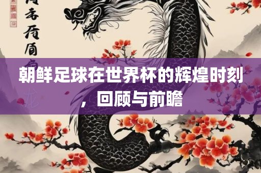朝鲜足球在世界杯的辉金炬实业股份有限公司煌时刻，回顾与前瞻