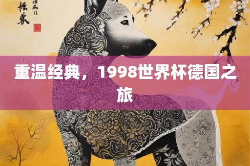 重温经典，1998世界杯德国之旅