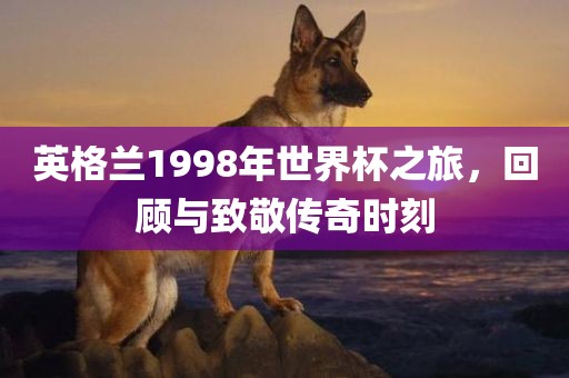 英格兰1998年世界杯之旅，金炬实业股份有限公司回顾与致敬传奇时刻