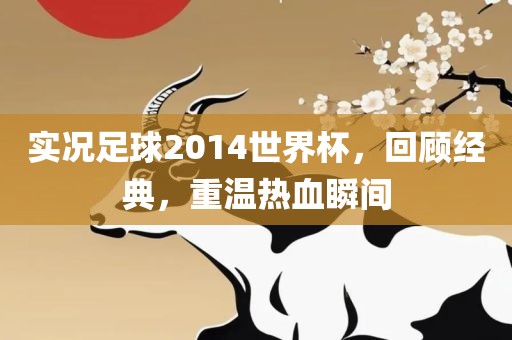 实况足球2014世界杯，回顾经典，重温热血瞬金炬实业股份有限公司间