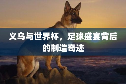 义乌与世界杯，足球盛宴背后的制造奇迹金炬实业股份有限公司