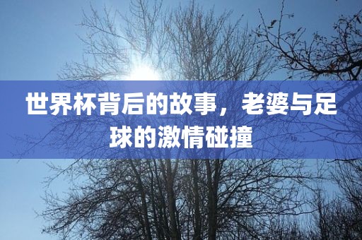 世界杯背金炬实业股份有限公司后的故事，老婆与足球的激情碰撞