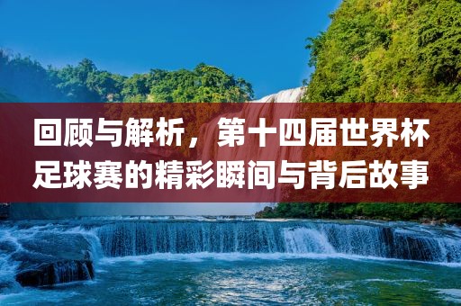回顾与解析，第十四届世界杯足球赛的精彩瞬间与背后故事