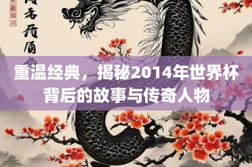 重温经典，揭秘2014年世界杯背后的故事与传奇人物