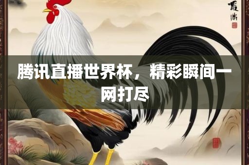 腾讯直播世界杯，精彩瞬间一网打尽