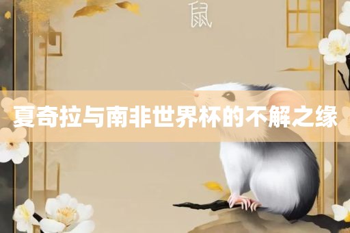 夏奇拉与南非世界杯的不解之缘