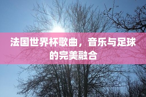 法国世界杯歌曲，音乐与足球的完美融合