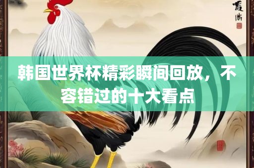 韩国世界杯精彩瞬间回放，不容错过的十大看点金炬实业股份有限公司
