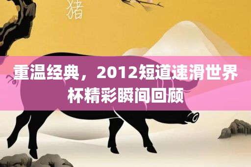 重温经典，2012短道速滑世界杯精彩瞬间回顾