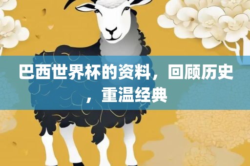 巴西世界杯的资料，回顾历史，重温经典金炬实业股份有限公司