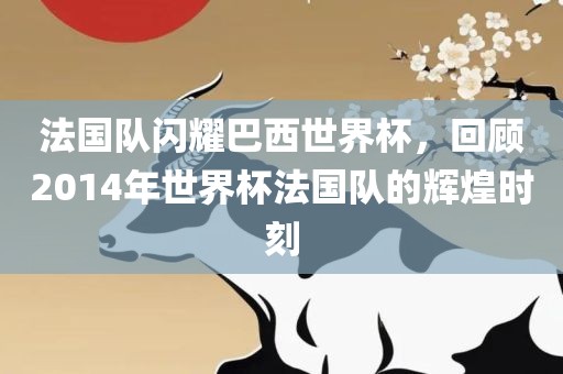 法国队闪耀巴西世界杯，回顾2014年世界杯法国队的辉煌时刻