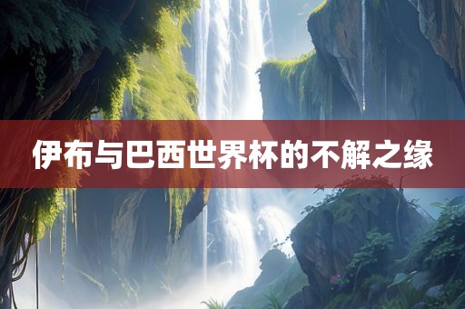 伊布与巴西世界杯的不解之缘金炬实业股份有限公司