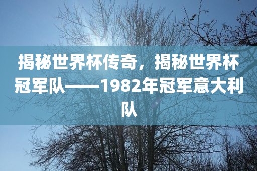 揭秘世界杯传奇，揭秘世界杯冠军队——1982年冠军意大利队