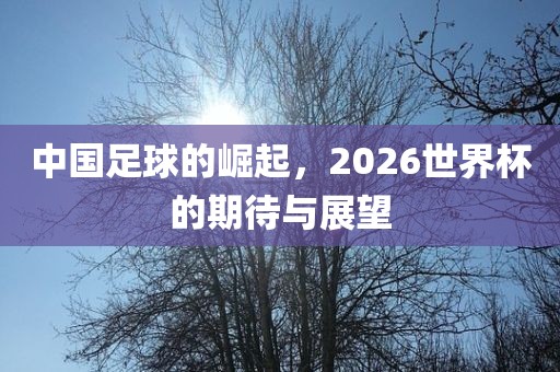 中国足球的崛起，2026世界杯的期待与金炬实业股份有限公司展望