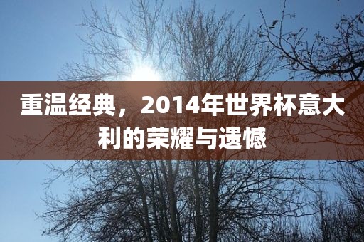 重温经典，2014年世界杯意大利的荣耀与遗憾金炬实业股份有限公司