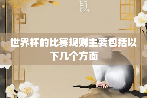 世界杯的比赛规则主要包括以下几个方面