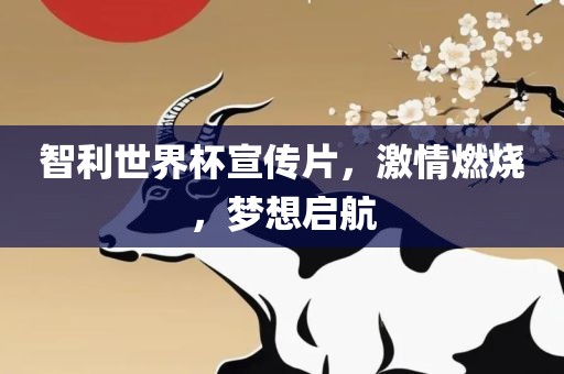 智利世界杯宣传片，激情燃烧，梦想启航金炬实业股份有限公司