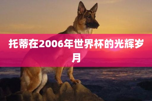 托蒂在2006年世界杯的光辉岁月金炬实业股份有限公司