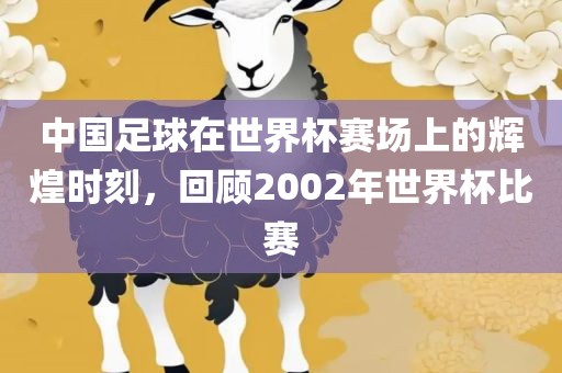 中国足球在世界杯赛场上的辉煌时刻，回顾2002年世界杯比赛