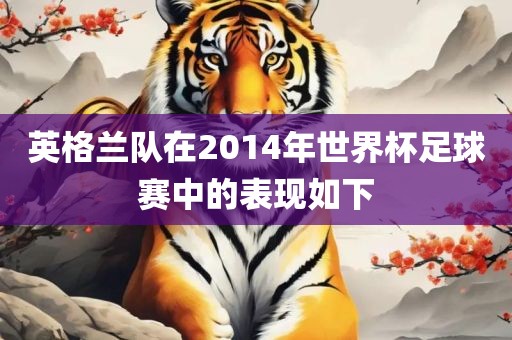 英格兰队在2014年世界杯足球赛中的表现如下金炬实业股份有限公司