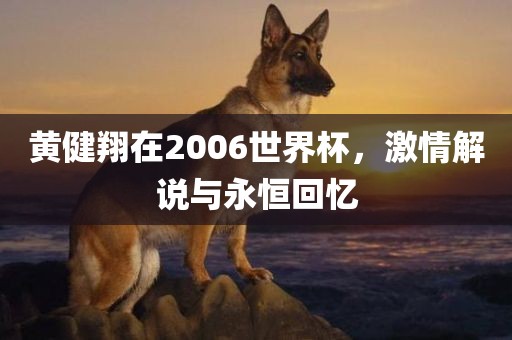 黄健翔在2006世界杯，激情解说与永恒回忆金炬实业股份有限公司