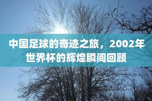 中国足球的奇迹之金炬实业股份有限公司旅，2002年世界杯的辉煌瞬间回顾