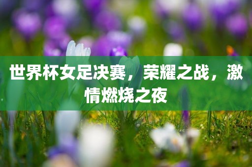 世界杯女足决赛，荣耀之战，激情燃烧之夜金炬实业股份有限公司