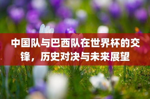中国队与巴西队在世界杯的交锋，历史对决与未来展望金炬实业股份有限公司