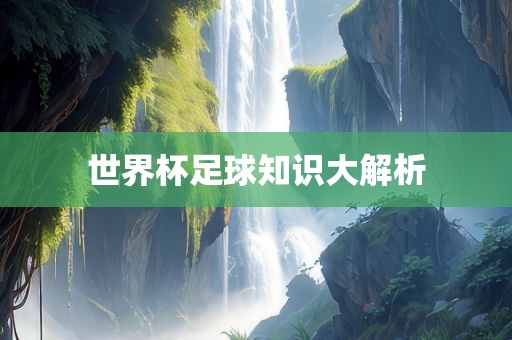 世界杯足球知识大解析