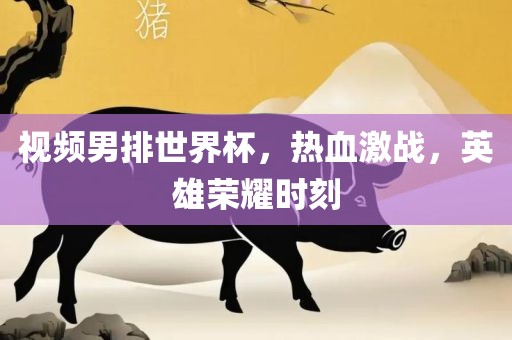 视频男排世界杯，热血激战，英雄荣耀时刻金炬实业股份有限公司