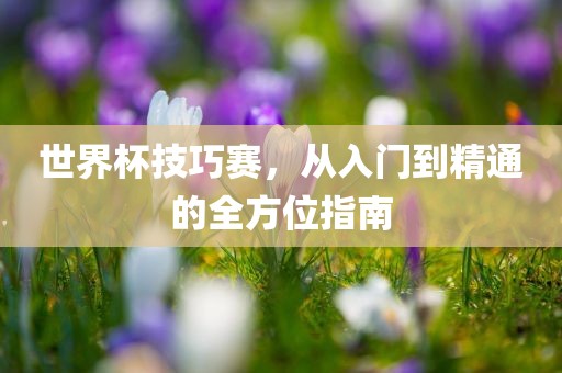 世界杯技巧赛，从入门到精通的全方位指南金炬实业股份有限公司
