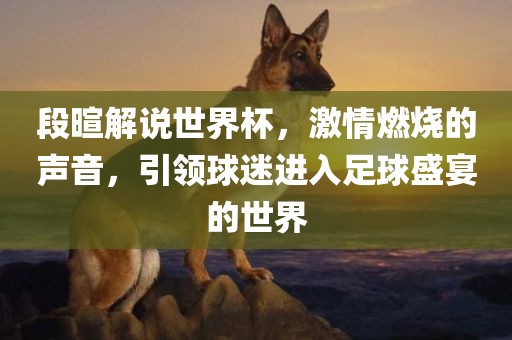 段暄解说世界杯，激情燃烧的声音，引领球迷进入足球盛宴的世界