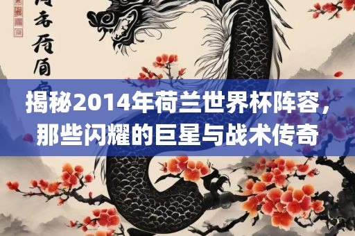 揭秘2014年荷兰世界杯阵容，那些闪耀的巨星与战术传奇金炬实业股份有限公司
