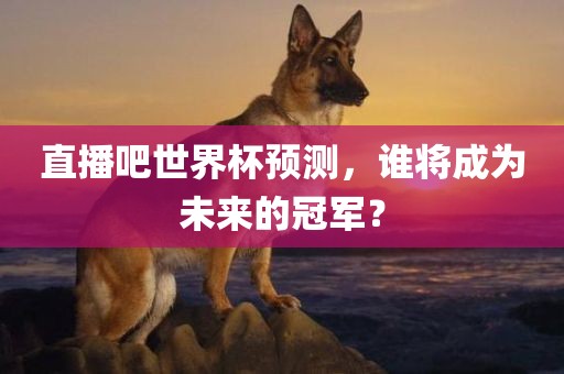 直播吧世界杯预测，谁将成为未来的冠军？