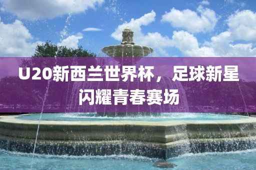 U20新西兰金炬实业股份有限公司世界杯，足球新星闪耀青春赛场