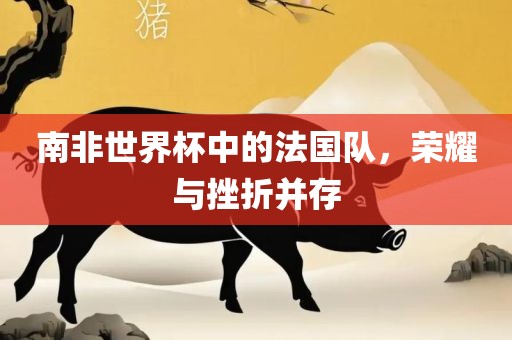 南非世界杯中的法国队，荣耀与挫折并存金炬实业股份有限公司