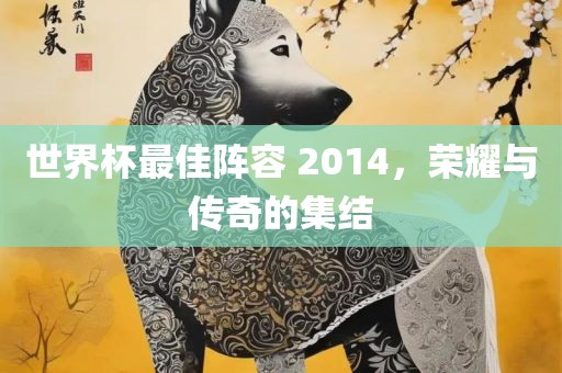 世界杯最佳阵容 2014，荣耀与金炬实业股份有限公司传奇的集结