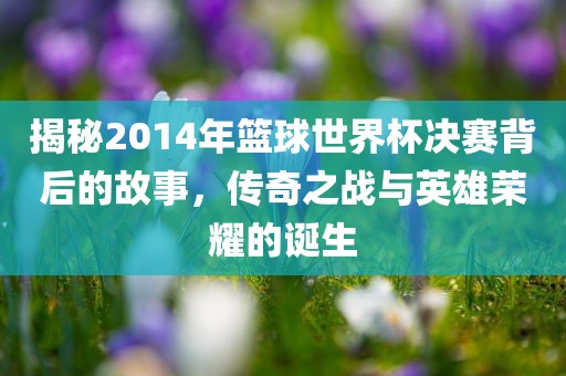 揭秘2014年篮球世界杯决赛背后的故事，传奇之战与英雄荣耀的诞生金炬实业股份有限公司
