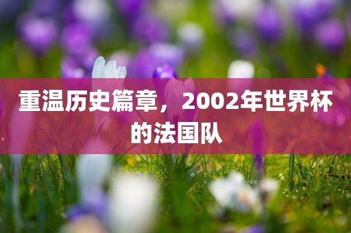 重温历史篇章，2002年世界杯的法国队