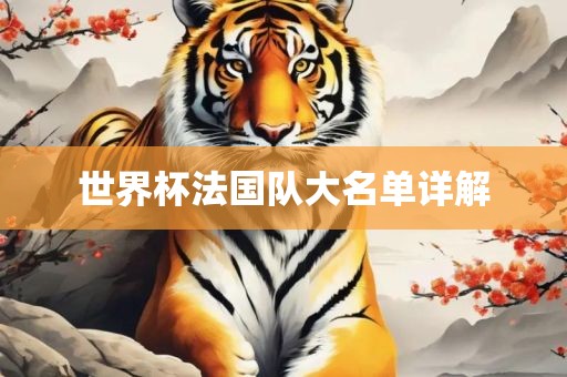 世界杯法国队大名单详解