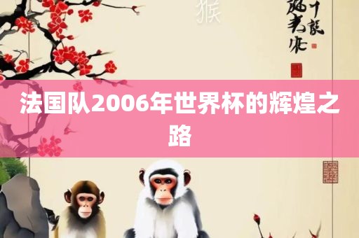 法国队2006金炬实业股份有限公司年世界杯的辉煌之路