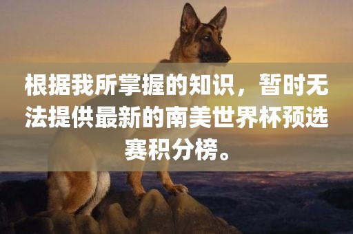 根据我所掌握的知识，暂时无法提供最新的南美世界杯预选赛积分榜。金炬实业股份有限公司