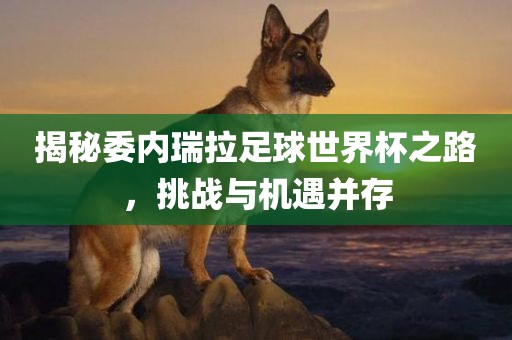 揭秘委内瑞拉足球世界杯之路，挑战与机遇并存