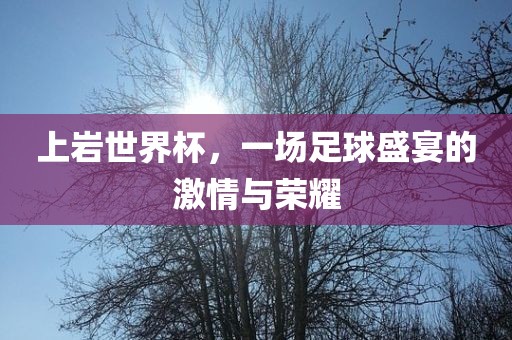 上岩世界杯，一场足球盛宴的激情与荣耀
