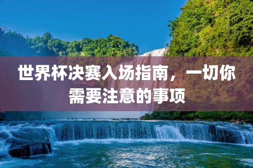 世界杯决赛入场指南，一切你需要注意的事项金炬实业股份有限公司