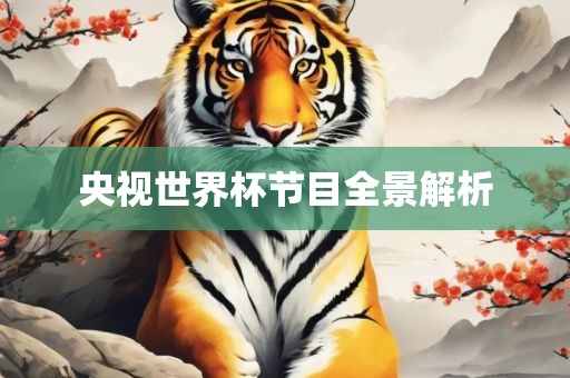 央视世界杯节目全景解析